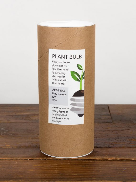 Plant Bulb – 1600 (low to med light)