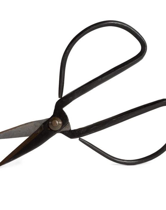 Wrought Iron Shears