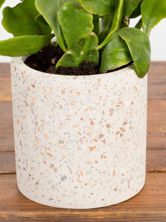 Confetti Pot