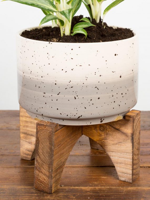 Speckled Ombre Planter