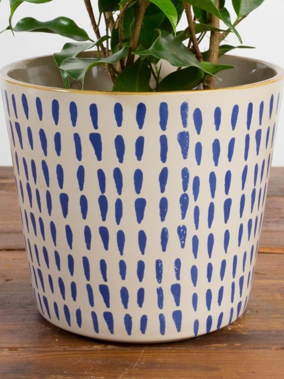 Blue Dash Planter