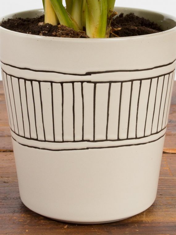 Banded Line Drawing Planter