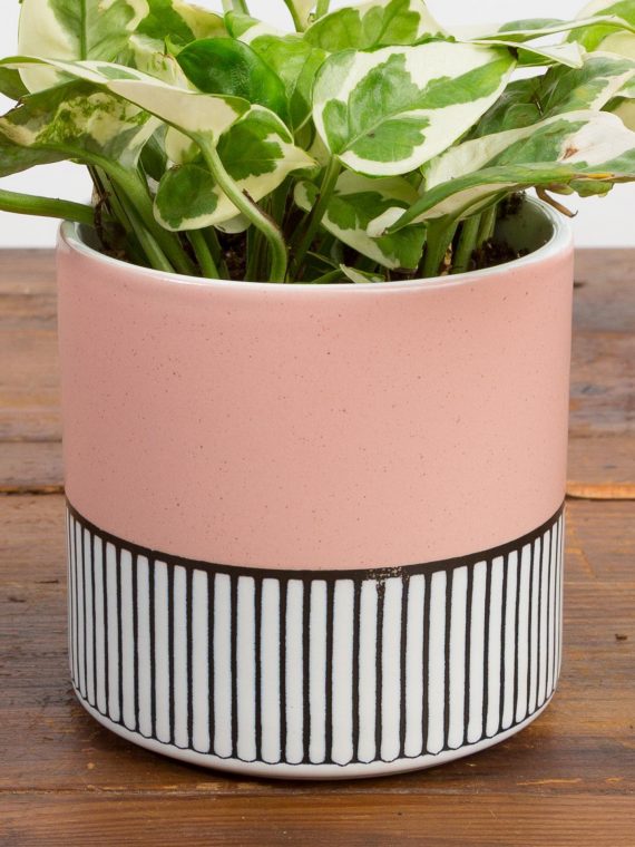 Pink Fence Planter