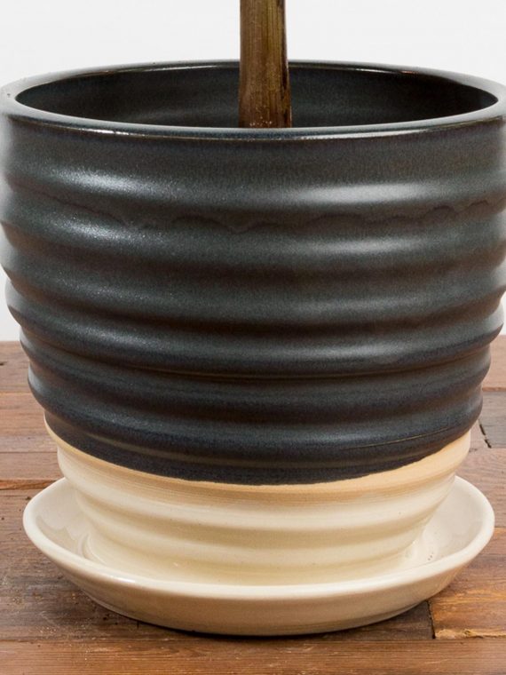 Twist Planter With Saucer