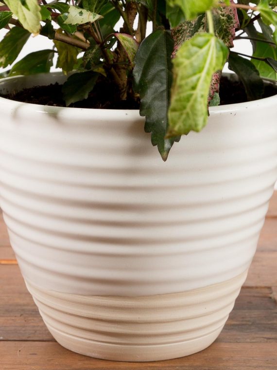 Twist Planter