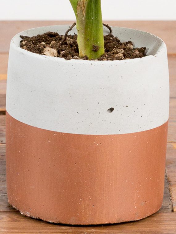 Metallic Bottom Concrete Planter