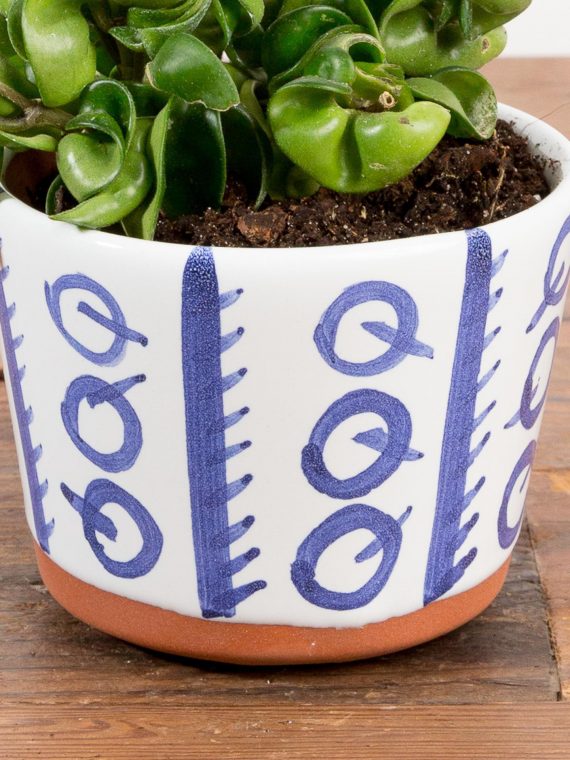 Palmer Cutie Q Planter