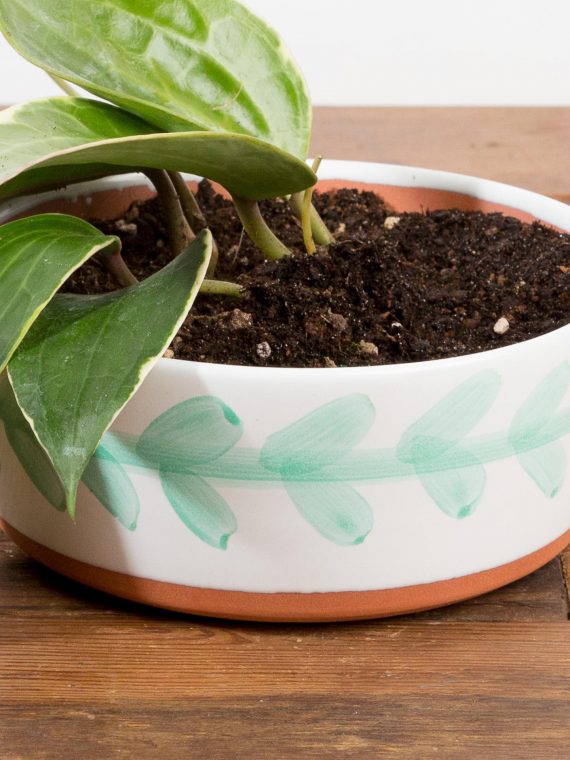 Palmer Vine Dish Planter