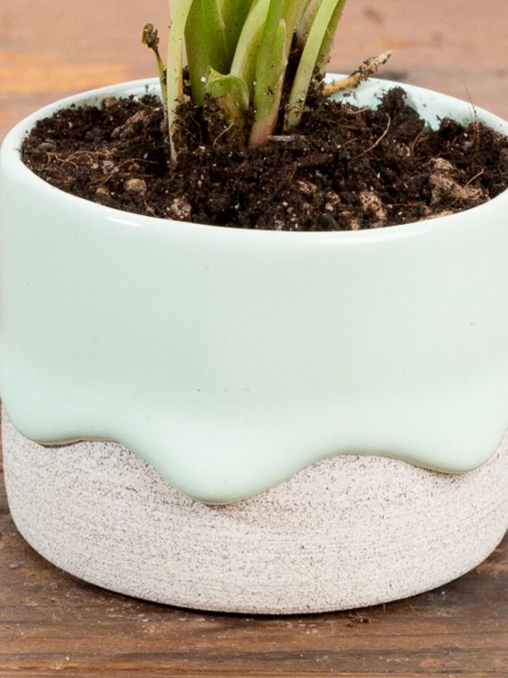 Drippy Planter