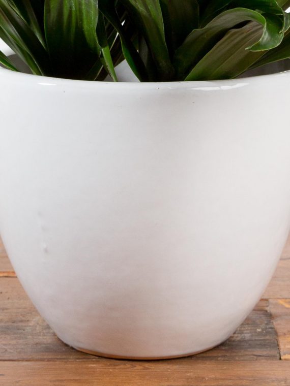 Glossy Classic Bell Planter