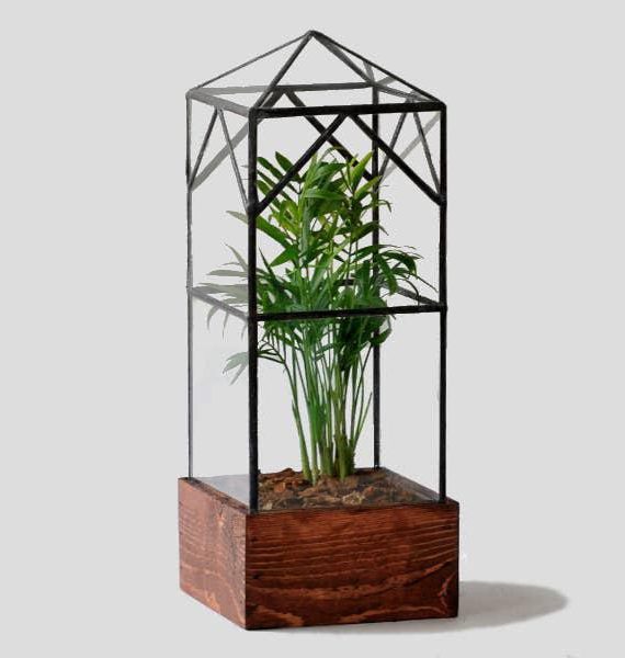 Atrium Terrarium Glass – Skyscraper