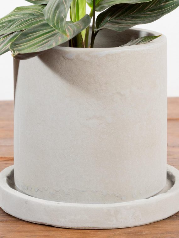 Concrete Cylinder Planter With Saucer