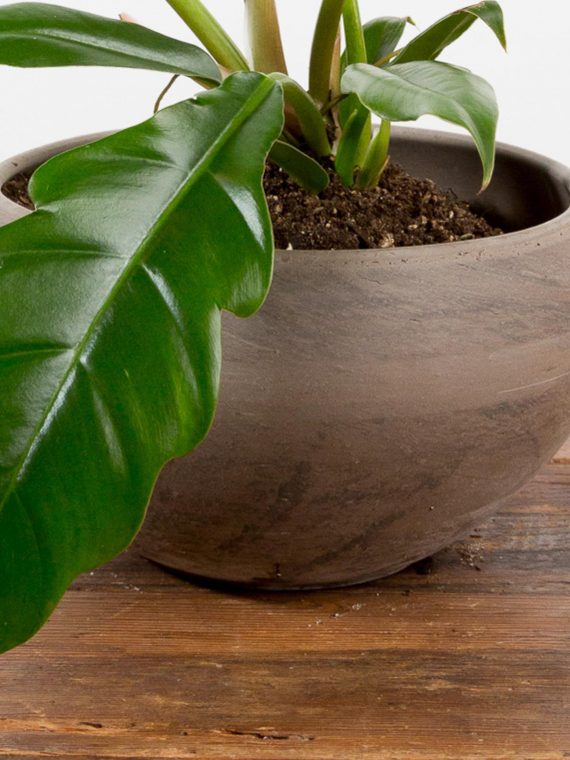 Marbled Black Clay Bowl Planter