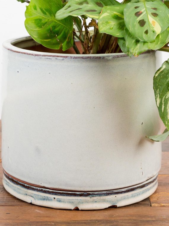 Rustic Cream Cylinder Planter With Saucer