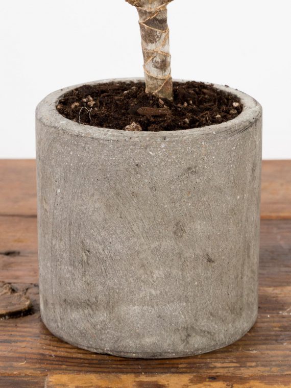 Concrete Rustic Cylinder Planter