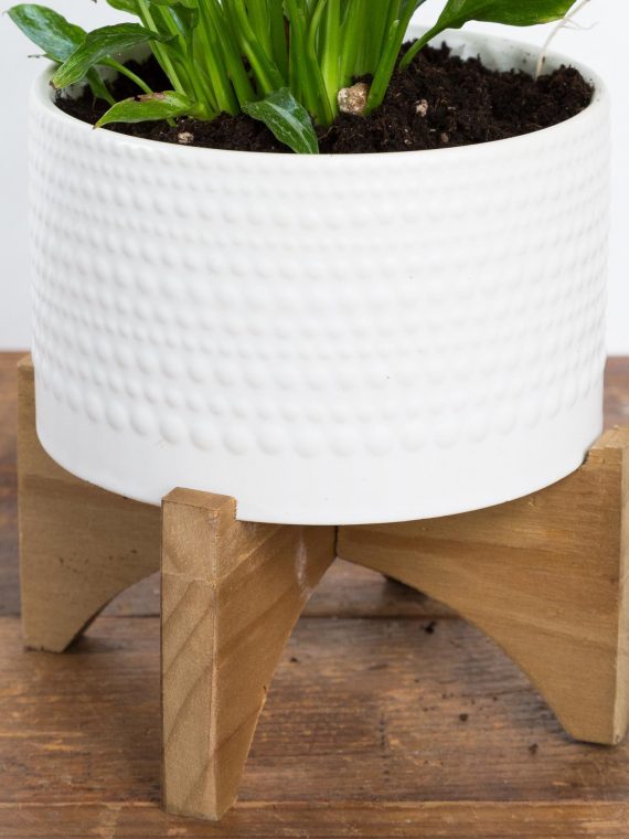 Dew Drop Cylinder Planter On Wood Stand