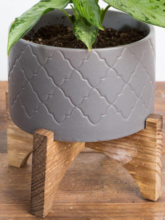 Geo Damask Cylinder Planter On Wood Stand