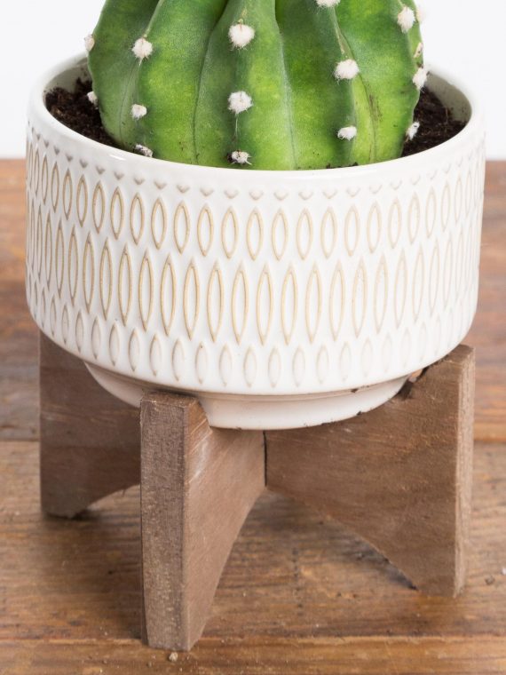 Dot Dash Planter With Wood Stand