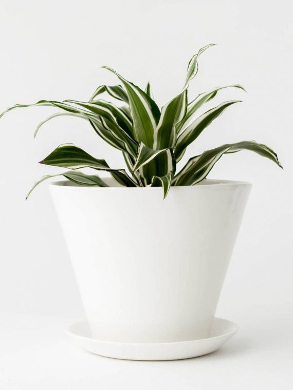 Tapered Column Planter