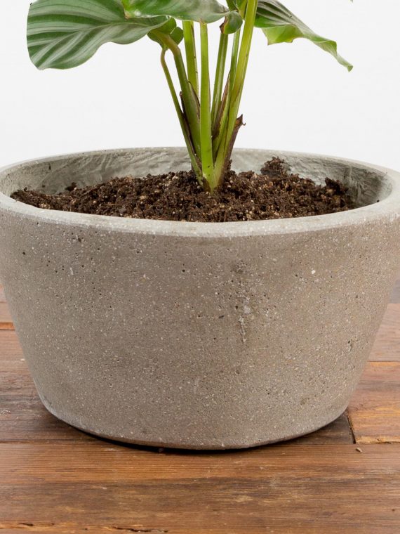 Sealed Concrete Tapered Bowl Planter