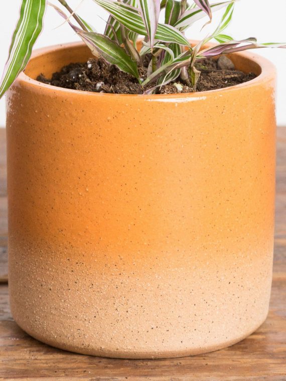 Creamsicle Ombre Planter