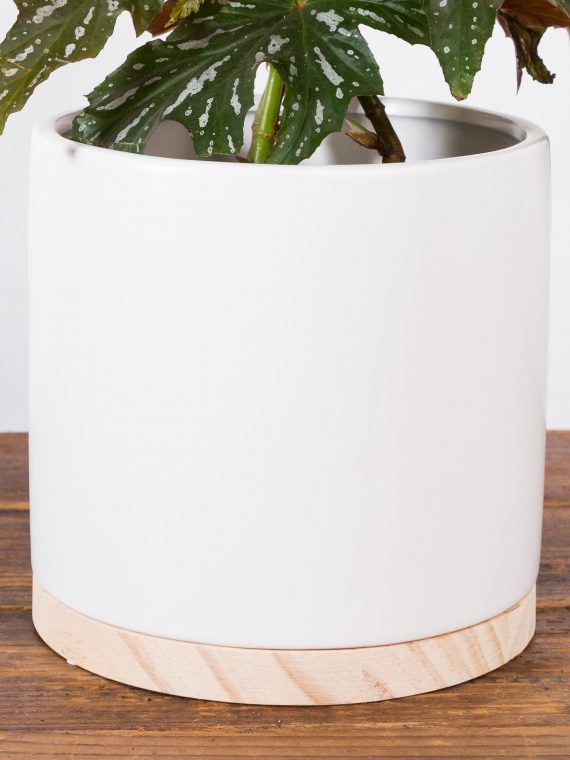 Cylinder Planter With Wood Round